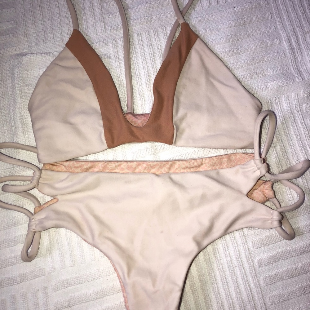 Acacia set in foam